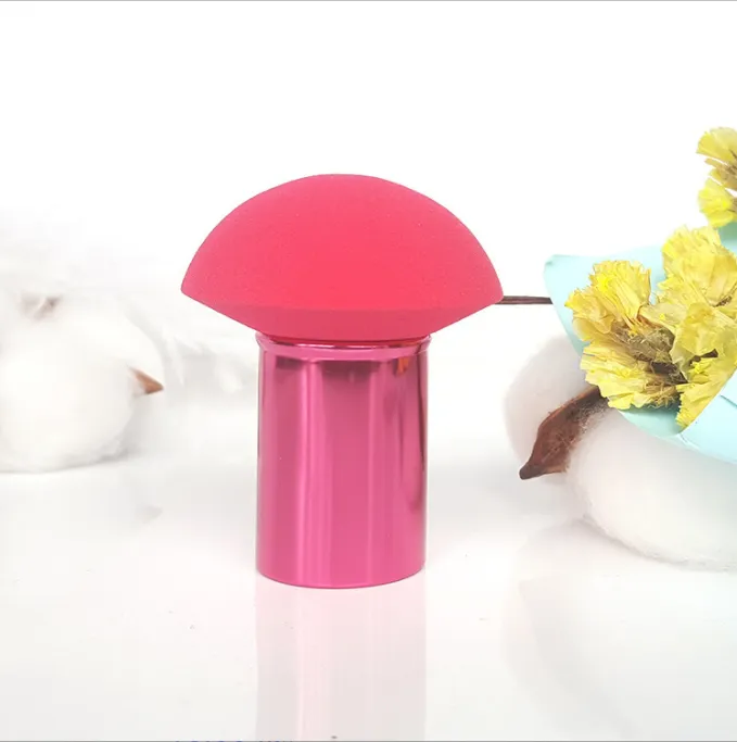 Makeup Sponge with handle